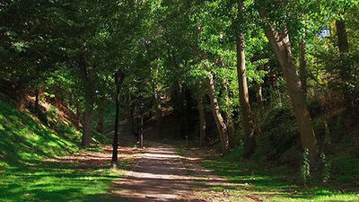 Algete cierra un mes su pulmón verde para reponer árboles caídos en Filomena