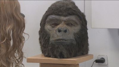 Una empresa de cine en Madrid