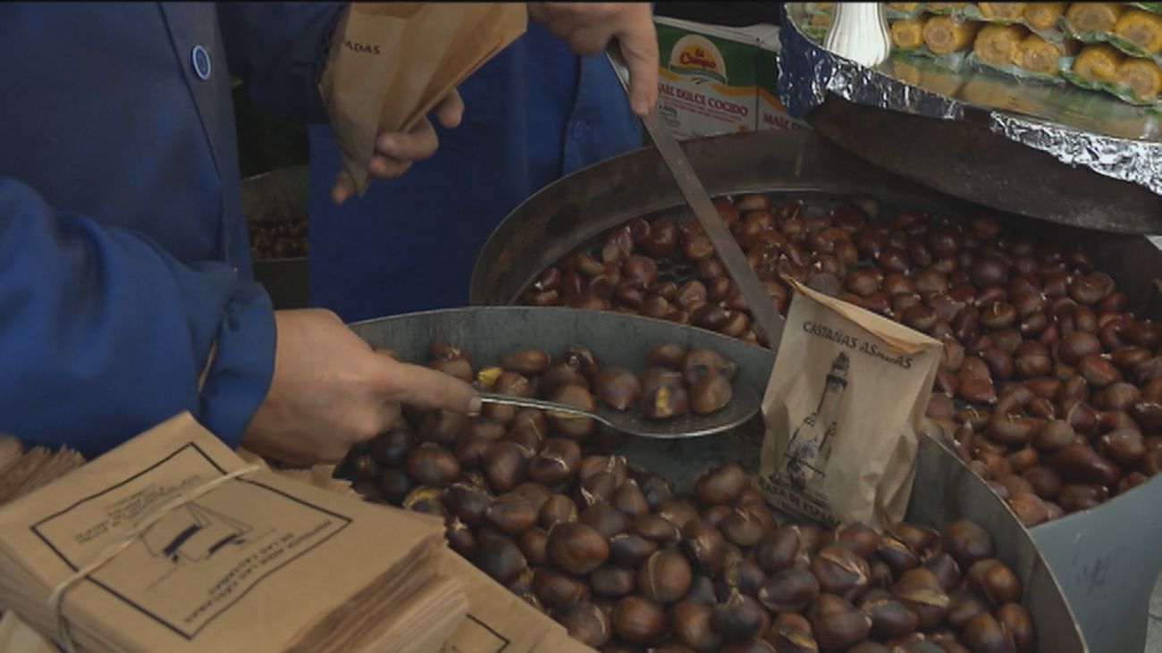 Comienza la recolección de castañas en Rozas de Puerto Real