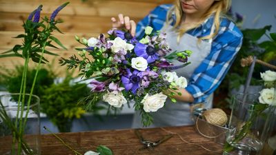 Flores a precio de chollo en Valdemoro