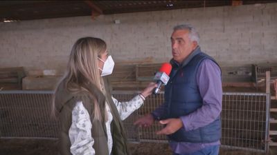 Los ganaderos de Madrid, hundidos por los precios de la luz y el pienso, advierten del cierre de granjas