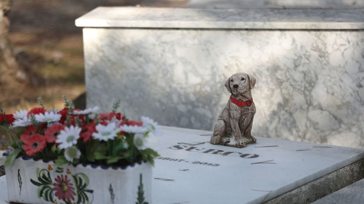 Tumba en el cementerio de animales de Arganda del Rey / ERUOPA PRESS