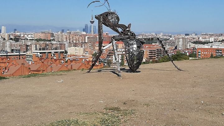 La hormiga y el 'pirulí' / @VKSEDEFIENDE