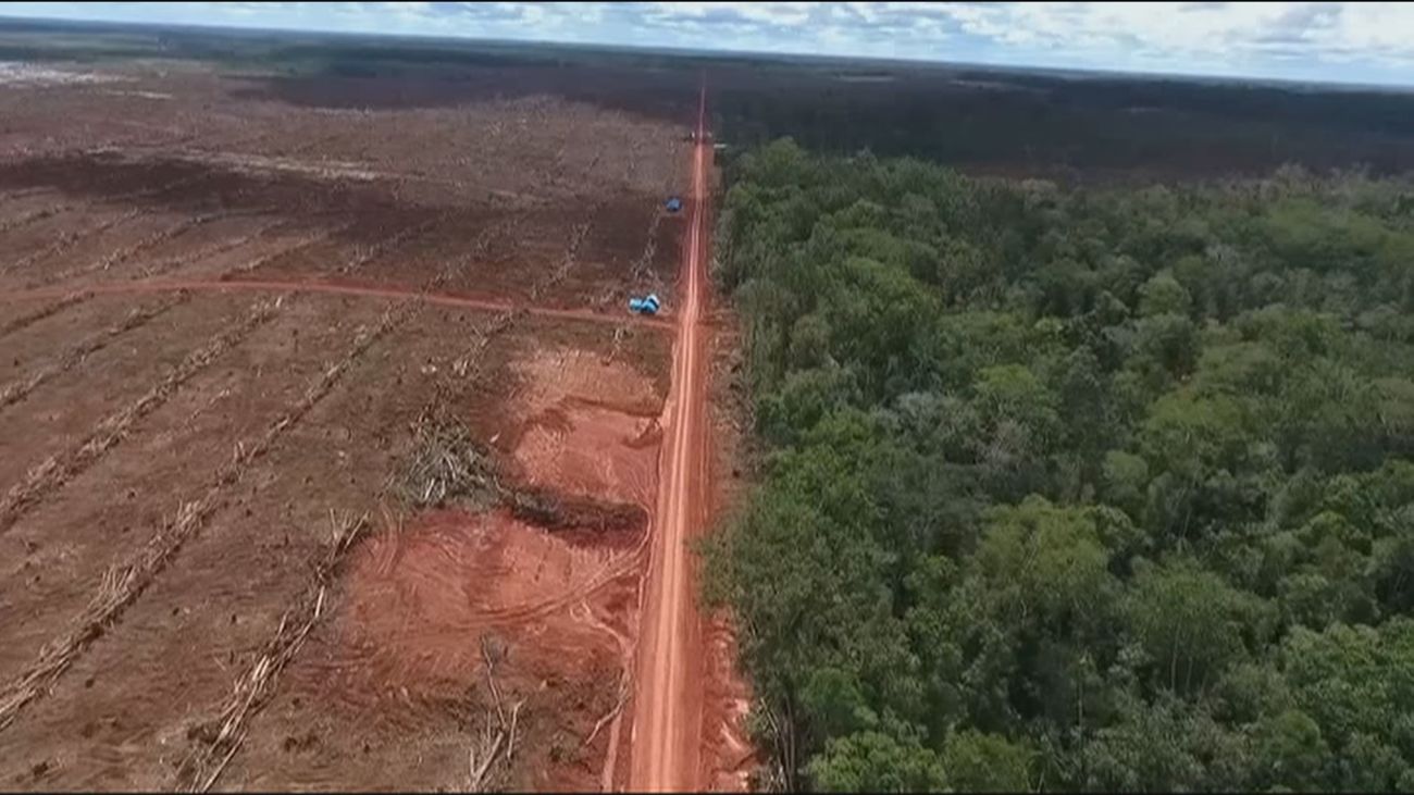 Cien líderes mundiales se comprometen a revertir la deforestación para 2030