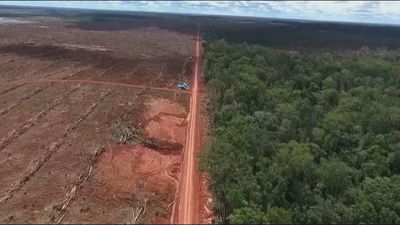 Cien líderes mundiales se comprometen a revertir la deforestación para 2030