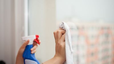 ¿Cómo de limpia tenemos la casa los españoles?