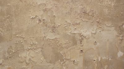 Problemas de humedades por la filtración de aguas fecales en un edificio de Lavapiés