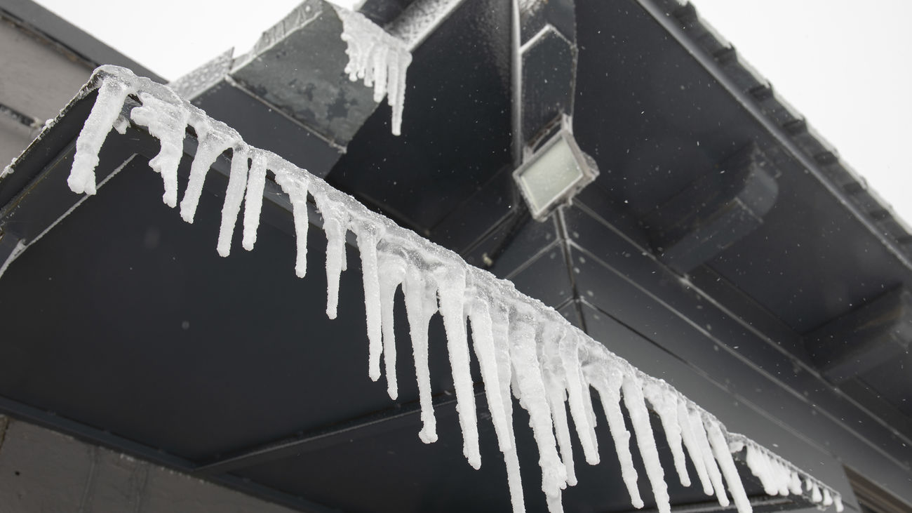 Buenos Días Madrid 05.11.2021 (10.30 - 11.30)