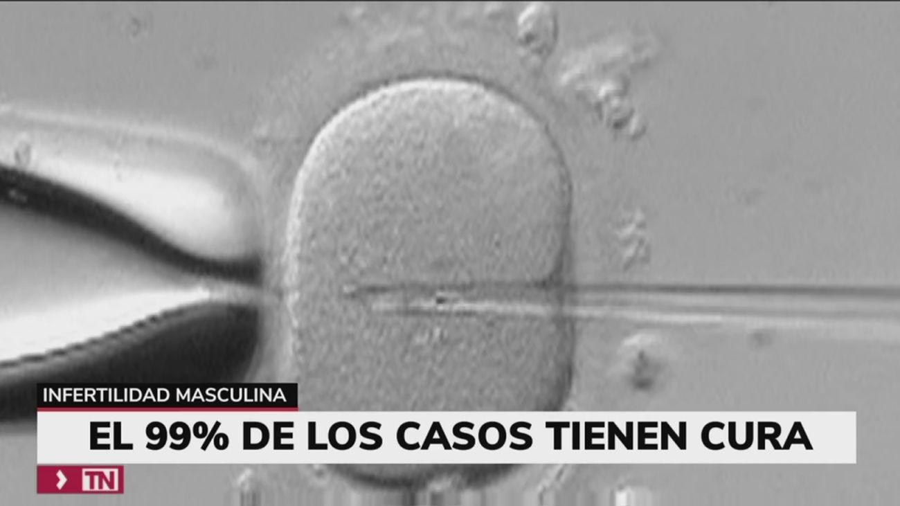 El 50% de los casos de parejas que no pueden tener hijos se deben a problemas de fertilidad de los hombres
