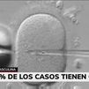 El 50% de los casos de parejas que no pueden tener hijos se deben a problemas de fertilidad de los hombres