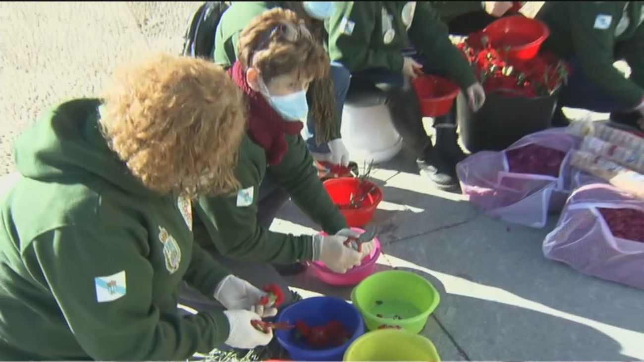 Una alfombra para La Almudena hecha con flores de Galicia