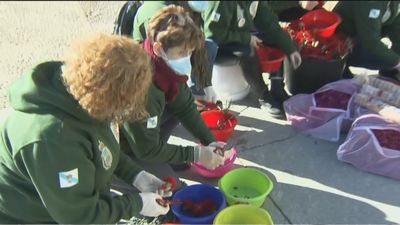 Una alfombra para La Almudena hecha con flores de Galicia