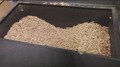 'Pellets', el nuevo oro marrón