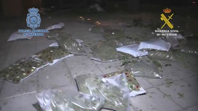 Desaticulada una red de cultivo de marihuana en Villaverde y Toledo