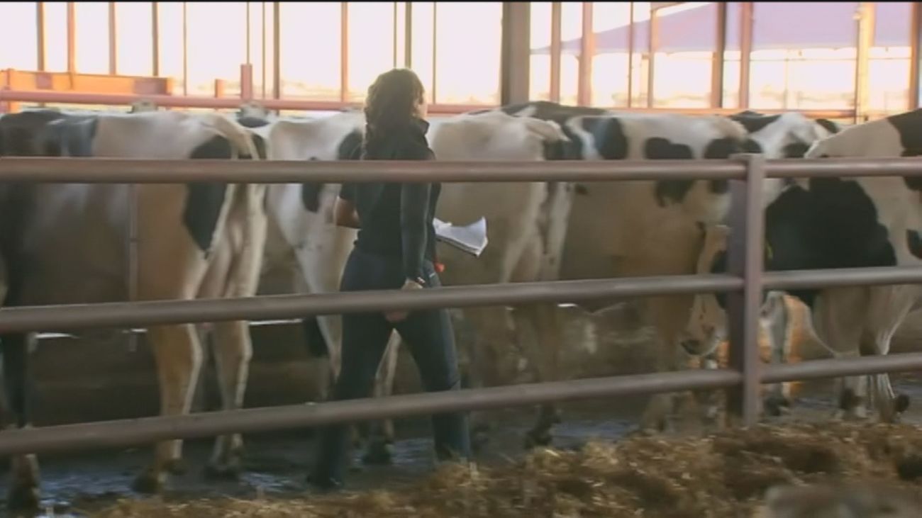 Ganaderos en pie de guerra denuncian su situación de crisis y las campañas de desprestigio