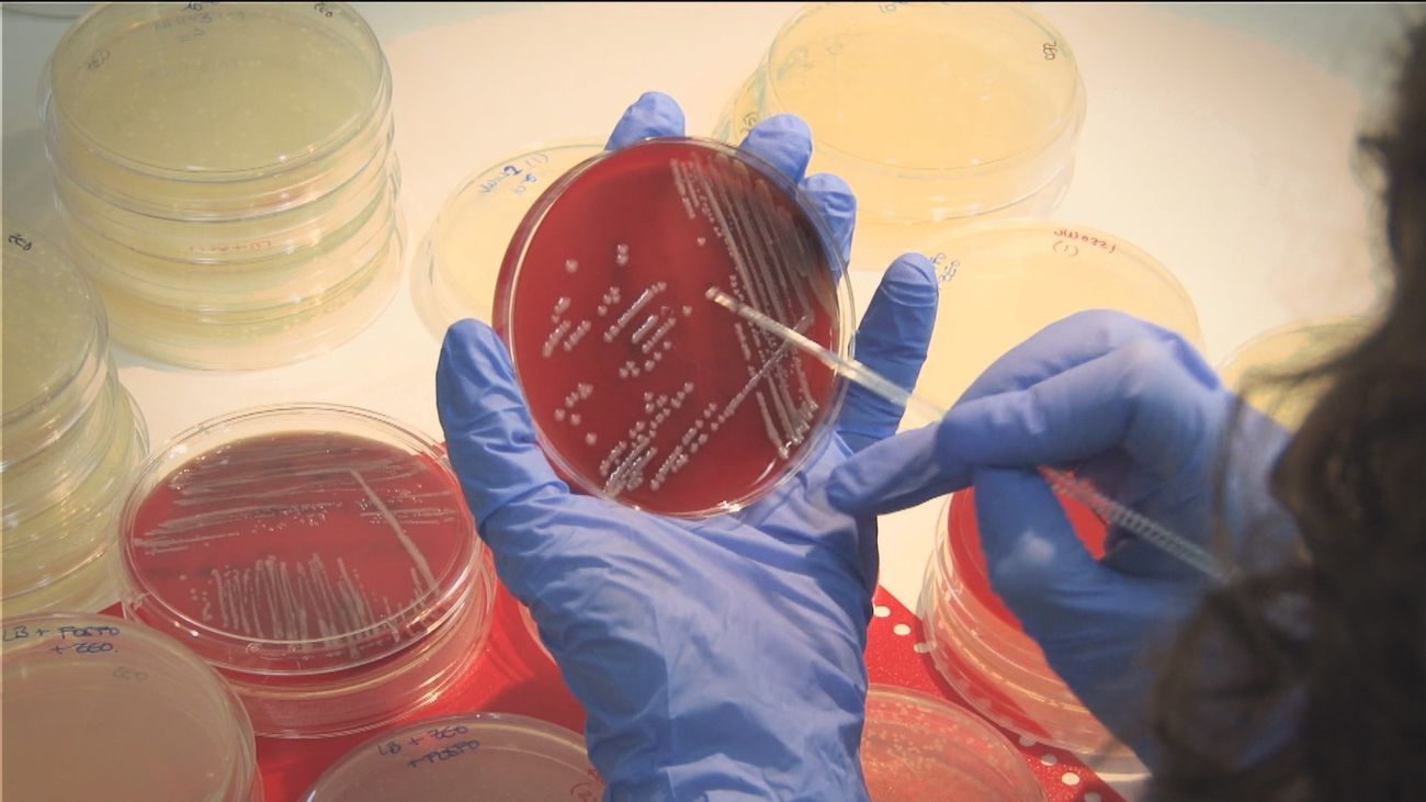 En España fallecen al año 4.000 personas por resistencias a los antibióticos