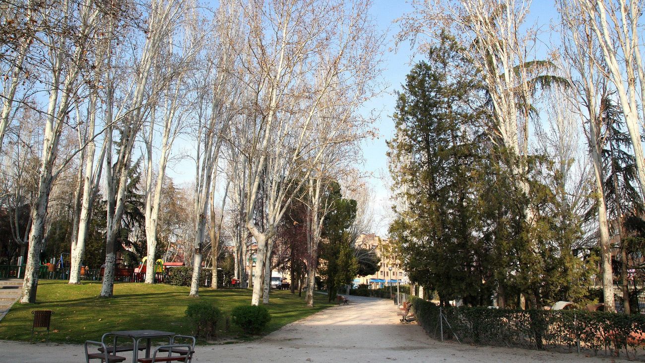 Alcobendas planta 1.400 árboles en su corredor verde paralelo a la A-1