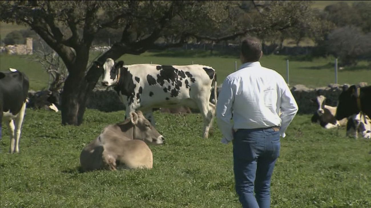Crisis en el sector lácteo: no se cubren los costes de producción por la subida de precios