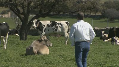 Crisis en el sector lácteo: no se cubren los costes de producción por la subida de precios