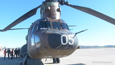 Mi cámara y yo: Helicópteros