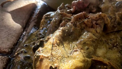 Un perro a punto de morir al comer carne con clavos en un descampado de Usera