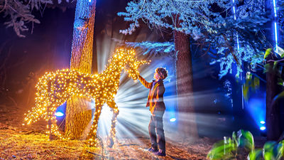 Los mejores planes de Navidad con niños en Madrid