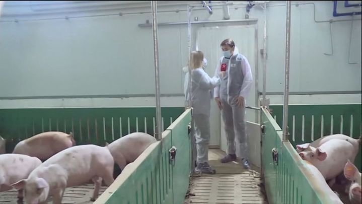 Daniel de Miguel, director adjunto de Interporc / TELEMADRID