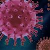 La OMS determinará si la nueva variante del coronavirus  se clasifica como de riesgo