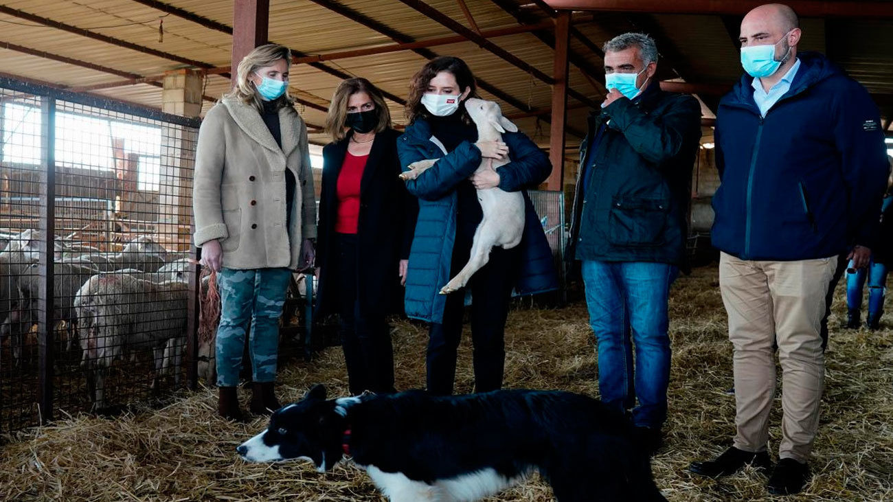 Ayuso apuesta por "dar vida" al campo y pide al Gobierno que facilite su labor a agricultores y ganaderos