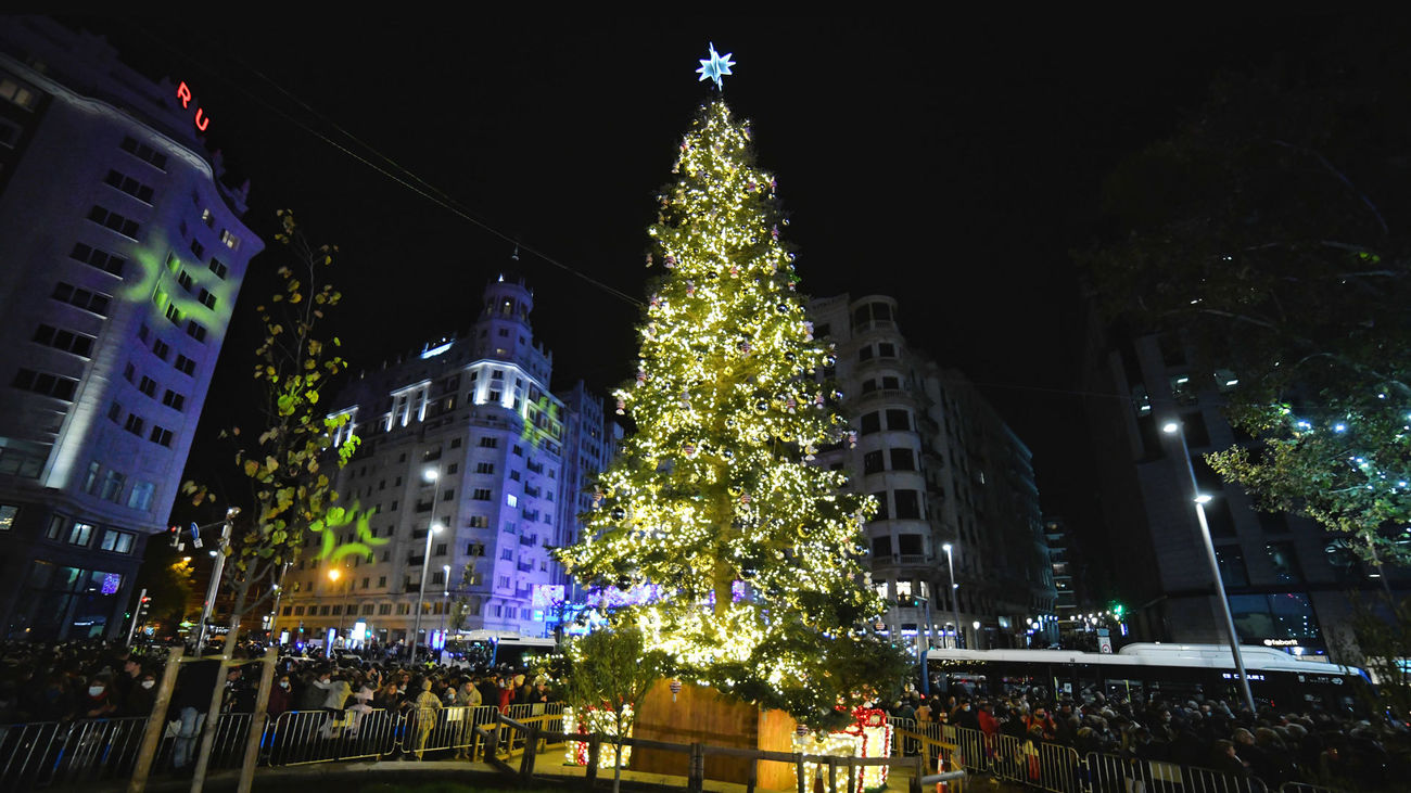 El abeto natural de Plaza España, en el acto de encendido de la iluminación navideña