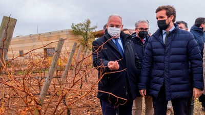 Casado emplaza al Gobierno y al PSOE a apoyar la denominación de origen Rioja