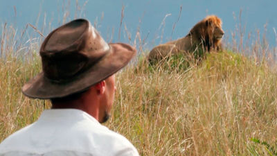 Jorge Alesanco, el madrileño que convive con leones
