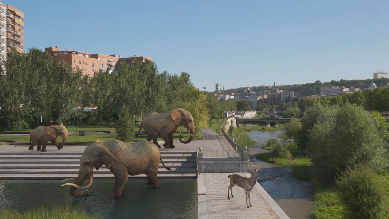 ¡Mamuts y ciervos gigantes paseando por el centro de Madrid!