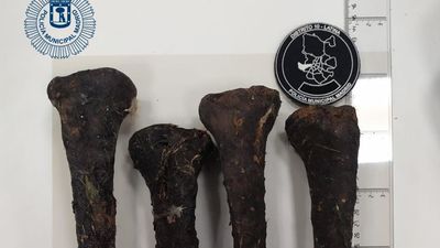 Hallan restos óseos en una tienda de productos de santería en Usera