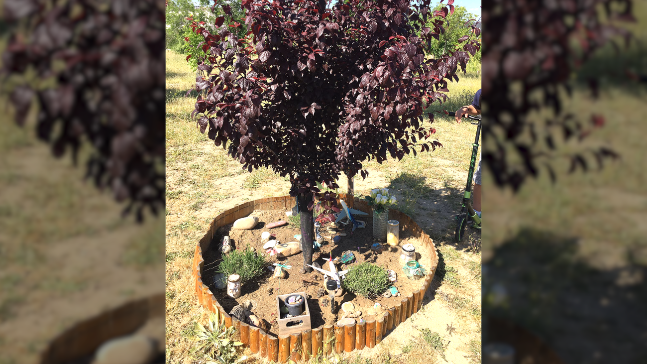 Operarios del Ayuntamiento de Madrid 'desmantelan' un Bosque Urbano de Barajas impulsado durante años por los vecinos