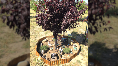 Operarios del Ayuntamiento de Madrid 'desmantelan' un Bosque Urbano de Barajas impulsado durante años por los vecinos