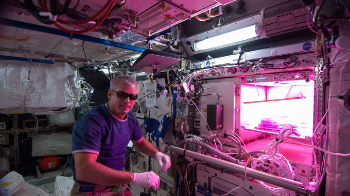 El astronauta Steve Wanson junto al actual dispositivo 'Veggie' de cultivo de plantas en la ISS / NASA
