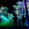 El Jardín Botánico se llena de la magia de la Navidad con el espectáculo  'Naturaleza Encendida Explorium'