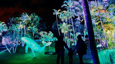 El Jardín Botánico se llena de la magia de la Navidad con el espectáculo  'Naturaleza Encendida Explorium'