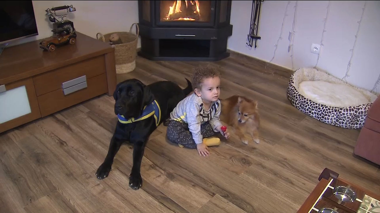 Lanzan un calendario para recaudar fondos para los peques con trastornos del espectro autista