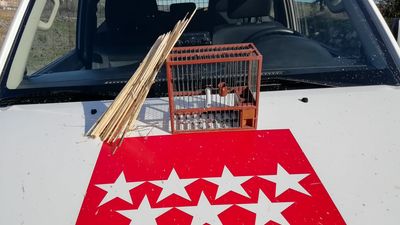 Agentes forestales intervienen diversos útiles de caza ilegal de aves en Perales de Tajuña