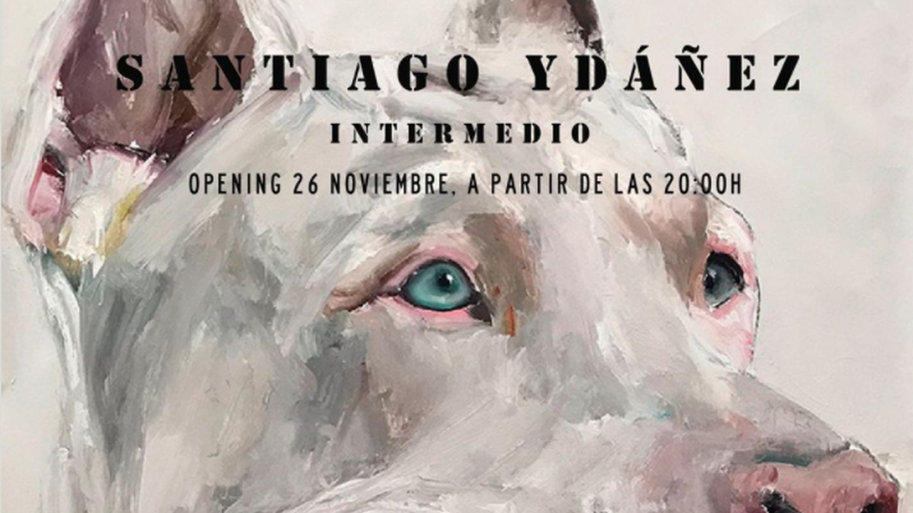 Cartel de la exposición de Santiago Ydáñez en la Galería Veta