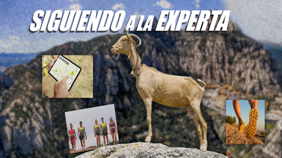 Una ruta de trail muy original, siguiendo a... una cabra de montaña