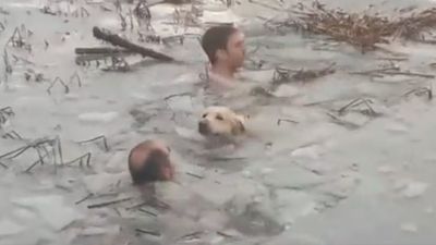 Dos guardias civiles se lanzan a un lago helado en Huesca para salvar la vida de un perro