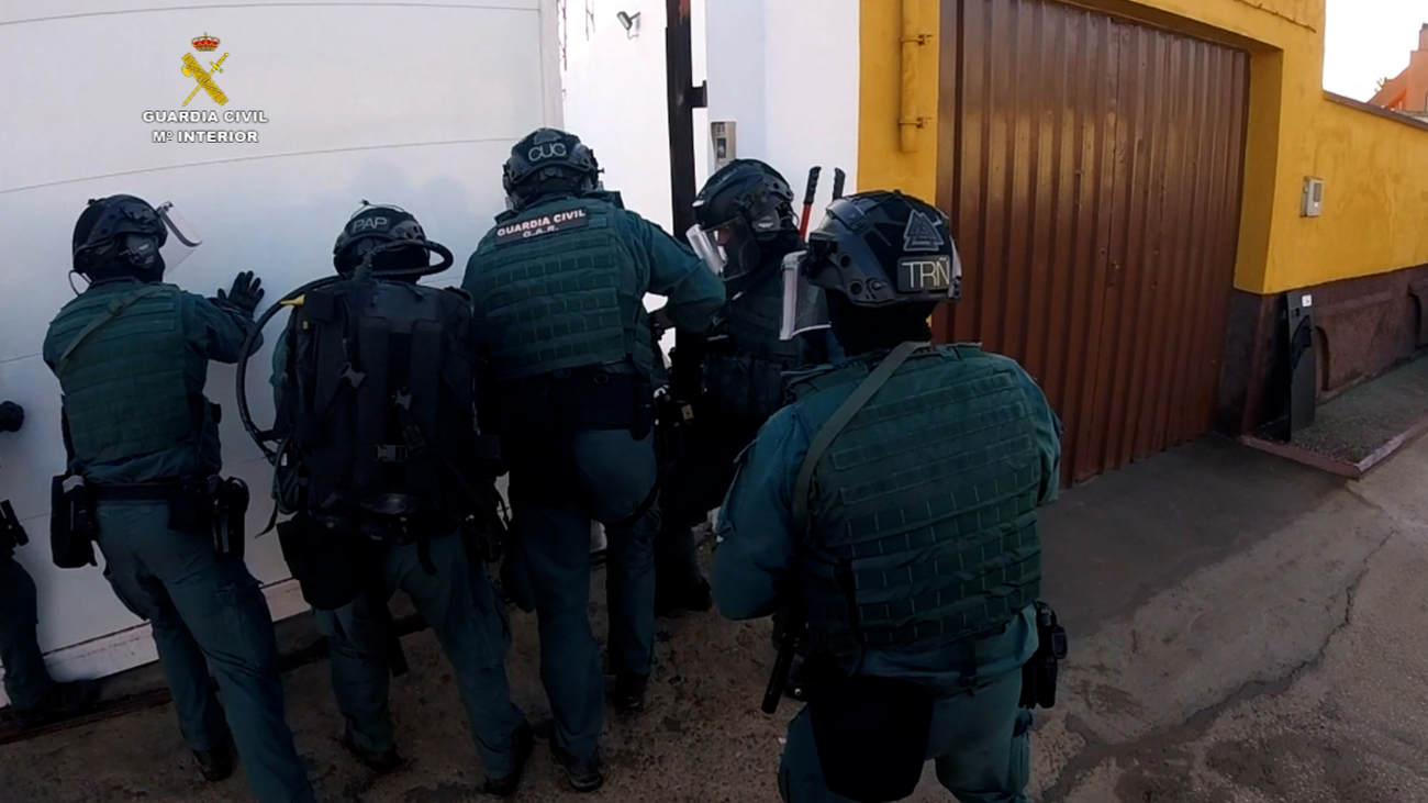 Intervenidas 1.300 plantas de marihuana en una vivienda de El Berrueco