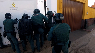 Intervenidas 1.300 plantas de marihuana en una vivienda de El Berrueco