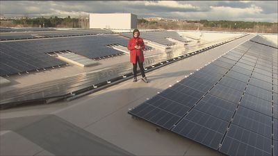 Iberia instala 6.000 paneles solares para autoconsumo en sus talleres de mantenimiento de La Muñoza