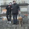 Las barreras arquitectónicas dificultan el día a día de las personas ciegas: “El perro guía es fundamental, no es una mascota”