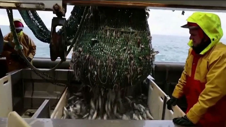 La UE pacta un reparto de pesca con fuertes recortes para España