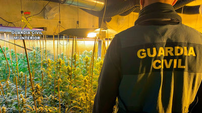 Interior lanza un plan frente el aumento imparable del cultivo de marihuana en España